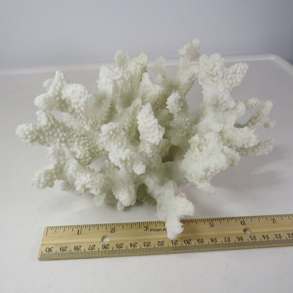 Faux Coral (very realistic) White 5" tall 9x7" wide over 1lb has a repaired arm - Picture 8 of 12